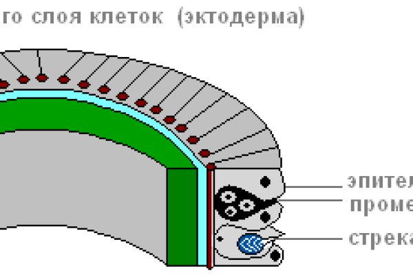 Кракен онион зеркала зеркало